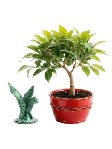 potted palm,bonsai tree,potted tree,androsace rattling pot,ficus,dwarf tree,money plant,growing mandarin tree,pot plant,bonsai,potted plant,podocarpus,adenium,houseplant,japanese kuchenbaum,maple bonsai,cestrum,garden pot,container plant,terracotta flower pot,Conceptual Art,Oil color,Oil Color 06