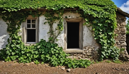 ancient house,abandoned house,old house,country cottage,stone house,puglia,small house,abandoned building,traditional house,cooling house,woman house,miniature house,summer cottage,garden shed,farm hut,farm house,little house,witch's house,dilapidated building,cottage,Photography,General,Realistic