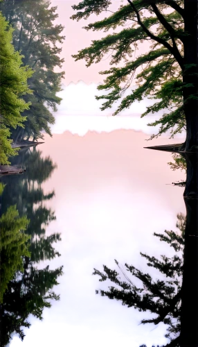 landscape background,pine trees,evening lake,pine tree,coniferous forest,lake tanuki,mountainlake,spruce forest,calm water,virtual landscape,spruce-fir forest,conifers,background view nature,evergreen trees,fir forest,watercolor pine tree,lake,mountain lake,water scape,tranquility,Illustration,Black and White,Black and White 22