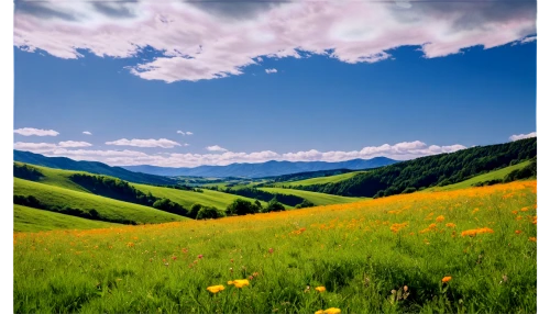 meadow landscape,alpine meadows,landscape background,alpine meadow,mountain meadow,salt meadow landscape,grasslands,carpathians,background view nature,grassland,spring meadow,the valley of flowers,springtime background,spring background,summer meadow,meadow flowers,meadow,flowering meadow,flower field,nature landscape,Illustration,Japanese style,Japanese Style 09