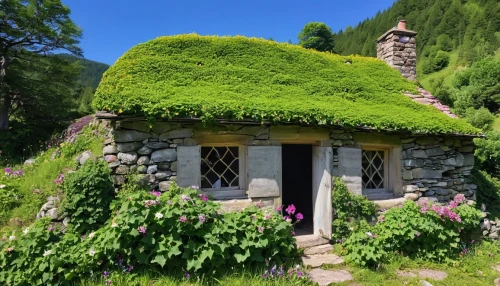 valais,grass roof,small house,little house,miniature house,small cabin,thatched cottage,alpine hut,house in mountains,fairy house,stone house,summer cottage,mountain hut,farm hut,witch's house,haute-savoie,ancient house,cottage,garden shed,lonely house,Photography,General,Realistic