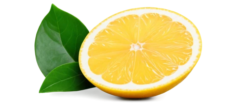 limonana,lemon background,valencia orange,lemon wallpaper,meyer lemon,citrus,citrus sinensis,juicy citrus,navel orange,lemon myrtle,lemon,lemon tree,citrus fruit,citrus food,citron,orange yellow fruit,defense,lemon pattern,slice of lemon,lemon half,Illustration,Vector,Vector 20