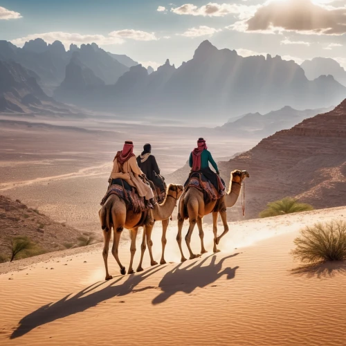 camel caravan,arabian camel,camels,arabian horses,capture desert,merzouga,desert landscape,desert desert landscape,the gobi desert,libyan desert,dromedaries,camel train,sahara desert,gobi desert,nomadic people,wadi rum,bedouin,wadirum,desert safari,jordan tours,Photography,General,Realistic