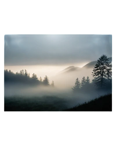 foggy landscape,foggy mountain,fog banks,carpathians,morning mist,foggy forest,bavarian forest,mist,veil fog,landscape background,morning fog,mists over prismatic,early fog,wave of fog,ground fog,trossachs national park - dunblane,fog,dense fog,high fog,emission fog,Photography,General,Natural