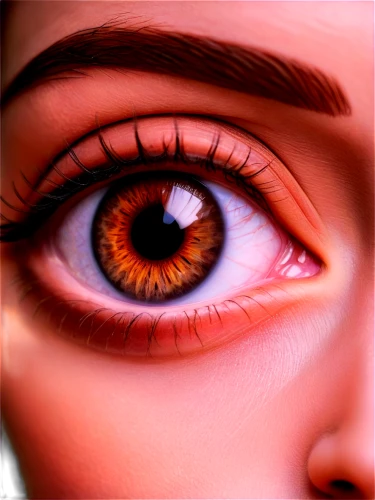 women's eyes,eye,pheasant's-eye,pupil,brown eye,pupils,orange eyes,eyes makeup,eyelid,eye scan,eyeball,eye ball,eyes,eye cancer,yellow eye,fire eyes,iris,baku eye,abstract eye,eye tracking,Photography,Documentary Photography,Documentary Photography 22