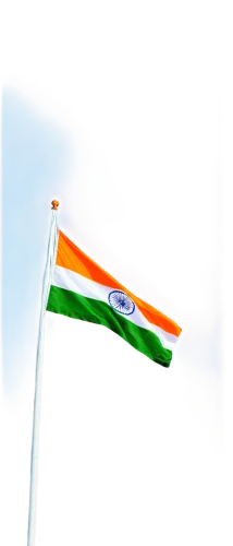 india flag,indian flag,national flag,india,hd flag,lindia,ashoka chakra,bihar,indian air force,india gun,carnation of india,rajastan,karnataka,flag pole,country flag,rss icon,tamilnadu,jawaharlal,world flag,independence day,Conceptual Art,Oil color,Oil Color 13