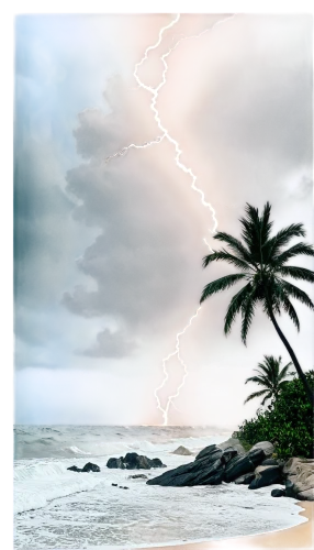tropical cyclone,lightning strike,nature's wrath,lightning bolt,coconut tree,lightning storm,coconut palms,meteorology,coconut palm tree,atmospheric phenomenon,thunderstorm,san storm,coconut trees,weather icon,tropical cyclone catarina,sea storm,monsoon banner,storm surge,monsoon,digital compositing,Art,Artistic Painting,Artistic Painting 06