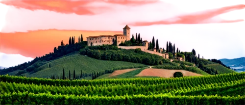 tuscan,vineyards,tuscany,piemonte,wine region,volterra,montepulciano,landscape background,world digital painting,italy,hohenzollern castle,monferrato,vinpearl land,castel,castle vineyard,vineyard,wine country,panoramic landscape,high rhône valley,south tyrol,Art,Classical Oil Painting,Classical Oil Painting 28