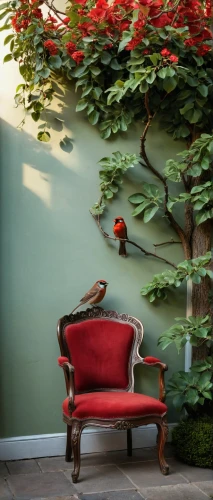 red bench,red magnolia,floral chair,garden bench,robins in a winter garden,yellow rose on red bench,chaise lounge,chaise longue,garden furniture,garden design sydney,outdoor sofa,chaise,wing chair,outdoor bench,landscape designers sydney,outdoor furniture,humming-bird,armchair,patio furniture,casa fuster hotel,Photography,General,Realistic