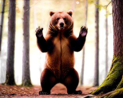 brown bear,cute bear,bear guardian,nordic bear,little bear,bear,bear cub,forest animal,slothbear,sun bear,bear kamchatka,pandabear,great bear,american black bear,grizzly cub,bear teddy,baby bear,brown bears,bear bow,scandia bear,Illustration,Japanese style,Japanese Style 18