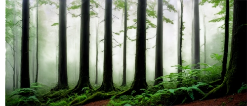 forest background,background vector,forests,green forest,cartoon video game background,coniferous forest,forest landscape,elven forest,the forests,fir forest,foggy forest,forest,the forest,landscape background,tropical and subtropical coniferous forests,mixed forest,digital painting,cartoon forest,forest tree,backgrounds,Art,Classical Oil Painting,Classical Oil Painting 11