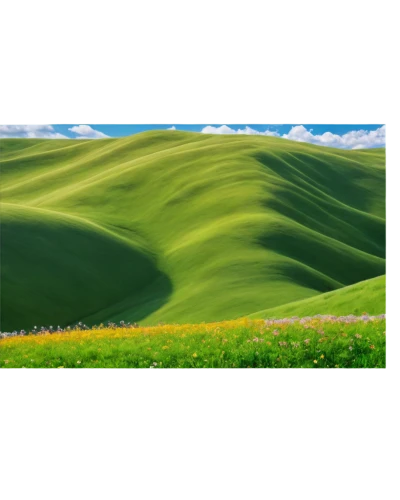 rolling hills,grasslands,meadow fescue,landscape background,grassland,salt meadow landscape,landform,golf course background,qinghai,green landscape,douglas' meadowfoam,mongolian,tuscan,aeolian landform,green fields,tea field,panoramic landscape,green meadow,aaa,mountain slope,Art,Artistic Painting,Artistic Painting 36