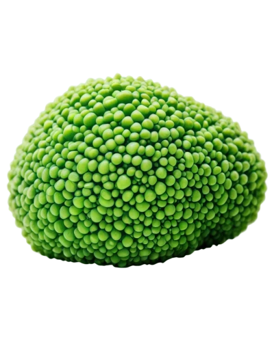 pea,chayote,broccoflower,broccoli,moong bean,peperoncini,muskmelon,mung bean,romanesco,melon,brocoli broccolli,romanescu,brassica,a vegetable,green kiwi,green soybeans,persian lime,patrol,peas,coxinha,Illustration,Black and White,Black and White 27