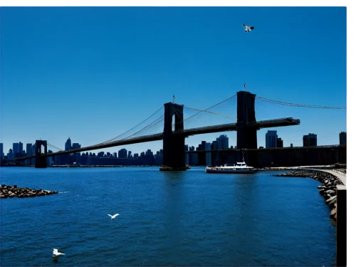 brooklyn bridge,manhattan bridge,homes for sale in hoboken nj,george washington bridge,harbor bridge,new york harbor,manhattan skyline,new york,spit bridge,big apple,newyork,homes for sale hoboken nj,manhattan,new york skyline,brooklyn,rainbow bridge,cable-stayed bridge,1wtc,1 wtc,image editing,Illustration,Vector,Vector 06