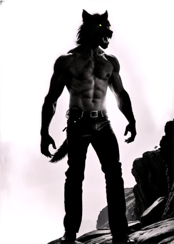wolverine,werewolf,wolfman,male character,werewolves,orc,cat warrior,minotaur,devilwood,wildcat,feral,howling wolf,furry,scar,brute,wolf,warrior and orc,fighting stance,barbarian,wolf hunting,Photography,Black and white photography,Black and White Photography 08