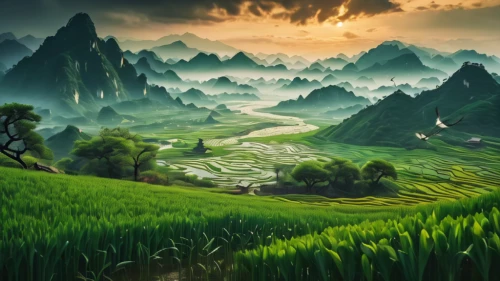 mountainous landscape,rice fields,landscape background,green landscape,mountain landscape,fantasy landscape,ricefield,rice terrace,rice field,yunnan,beautiful landscape,chinese background,the rice field,guilin,mountainous landforms,rice paddies,karst landscape,mountain scene,nature landscape,guizhou,Photography,General,Fantasy