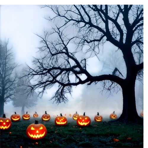 halloween background,halloween border,halloween silhouettes,halloween wallpaper,jack-o'-lanterns,halloween bare trees,jack-o-lanterns,halloween scene,halloween and horror,halloween ghosts,decorative pumpkins,halloween pumpkins,halloweenkuerbis,halloween frame,halloween travel trailer,hallowe'en,funny pumpkins,halloween icons,haloween,jack o lantern,Art,Classical Oil Painting,Classical Oil Painting 10