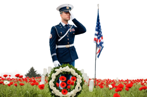 unknown soldier,soldier's grave,wreaths,remembrance,commemoration,military cemetery,war graves,navy burial,remembrance day,tomb of unknown soldier,grave arrangement,garland,memorial day,lest we forget,tomb of the unknown soldier,veteran,armed forces day,seidenmohn,veterans,anzac,Illustration,Realistic Fantasy,Realistic Fantasy 15