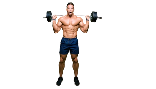 bodybuilding supplement,biceps curl,pair of dumbbells,body building,dumbbells,overhead press,bodybuilding,body-building,dumbbell,bodybuilder,anabolic,dumbell,upper body,barbell,personal trainer,weight lifter,strength training,training apparatus,weightlifter,weightlifting machine,Conceptual Art,Daily,Daily 11