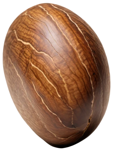 wooden ball,walnut,acrid chestnut,english walnut,eastern black walnut,coconut shell,wooden balls,areca nut,chestnut röhling,brown egg,tea egg,nutmeg,acorn,chokladboll,sapodilla,chestnut,roasted chestnut,tree nut,chestnut fruit,wood gyro,Conceptual Art,Oil color,Oil Color 15