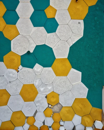 hexagons,honeycomb grid,hexagonal,hexagon,building honeycomb,honeycomb structure,tiles shapes,hex,honeycomb,ceramic floor tile,settlers of catan,tiles,floor tiles,parcheesi,honeycomb stone,ceramic tile,tessellation,geometric pattern,tileable patchwork,quatrefoil