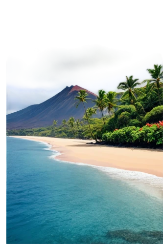 ascension island,canary islands,antilles,cape verde island,reunion island,hawaii,molokai,rabaul,maui,samoa,beautiful beaches,mauritius,dominica,the caribbean,fiji,beach landscape,lanzarote,dominican republic,tropical beach,kalua,Art,Classical Oil Painting,Classical Oil Painting 35