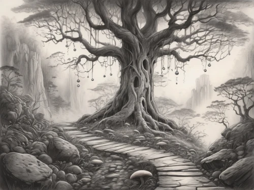 elven forest,druid grove,forest path,the mystical path,tree top path,devilwood,tree grove,celtic tree,wooden path,pathway,halloween bare trees,forest tree,haunted forest,the path,hollow way,bodhi tree,forest landscape,tree of life,fantasy landscape,enchanted forest,Illustration,Black and White,Black and White 30