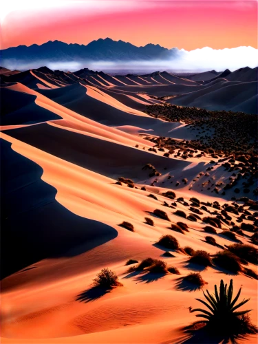 libyan desert,desert desert landscape,desert landscape,dune landscape,capture desert,sahara desert,sahara,crescent dunes,namib desert,desert background,desert,the desert,namib,dubai desert,merzouga,arid landscape,san dunes,admer dune,sand dunes,pink sand dunes,Conceptual Art,Daily,Daily 02