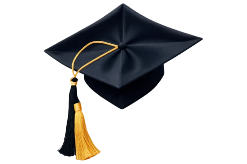 graduate hat,mortarboard,doctoral hat,graduation hats,academic dress,tassel,graduation cap,graduate,correspondence courses,gold and black balloons,gold cap,student information systems,overhead umbrella,graduated cylinder,academic,adult education,diploma,aerial view umbrella,graduation,black streamers,Photography,Documentary Photography,Documentary Photography 20
