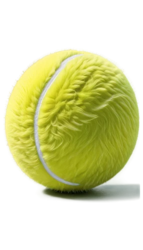 tennis ball,cotton boll,insect ball,luffa,lacrosse ball,soft tennis,pompom,dog toy,grass golf ball,lemon beebrush,air cushion,green kiwi,bergamot,sliced lime,spanish lime,basket fibers,lime,footbag,tennis racket accessory,dog toys,Illustration,Japanese style,Japanese Style 07