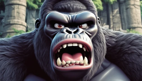 kong,gorilla,silverback,king kong,baboon,ape,mandrill,snarling,primate,yeti,great apes,war monkey,chimpanzee,angry,baboons,don't get angry,the monkey,angry man,monkey,barong