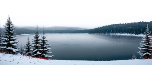 winter lake,frozen lake,snowy landscape,trillium lake,winter background,christmas snowy background,alpine lake,snow landscape,crater lake,christmas landscape,winter landscape,heaven lake,emerald lake,winter forest,two jack lake,beautiful lake,glacial lake,temperate coniferous forest,coniferous forest,british columbia,Illustration,Black and White,Black and White 16