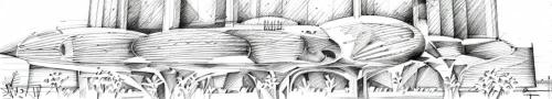 organ pipes,titan arum,columns,illustration,cross sections,organ,cross-section,rib cage,pillars,reconstruction,wood structure,organ pipe,spines,atlantoxerus getulus,platystele,illustration of the flowers,pillar,vertebrae,membrane,pencils,Design Sketch,Design Sketch,Pencil Line Art