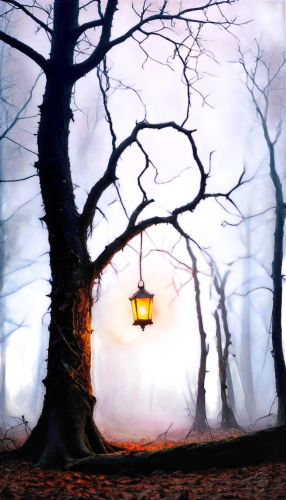 halloween bare trees,halloween background,fantasy picture,lamplighter,haunted forest,photo manipulation,street lamps,tree with swing,hanging lantern,gas lamp,illuminated lantern,enchanted forest,autumn background,photomanipulation,lantern,iron street lamp,street lamp,dark park,fantasy landscape,landscape background,Conceptual Art,Oil color,Oil Color 02