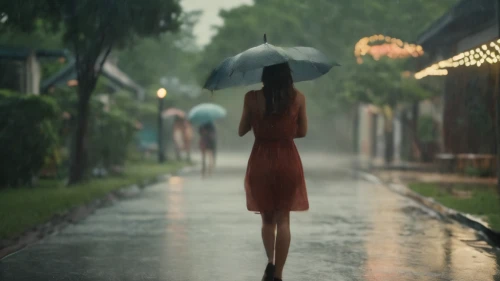 walking in the rain,girl walking away,asian umbrella,woman walking,heavy rain,in the rain,rainy season,monsoon,rain,light rain,rainy day,umbrella,summer umbrella,umbrellas,vietnam,rainy,raining,brolly,hanoi,rainy weather,Photography,General,Cinematic