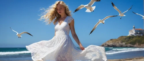 white bird,wedding dresses,gulls,gracefulness,flying sea gulls,seabirds,sea gulls,seagulls flock,sea breeze,silver seagull,seabird,the wind from the sea,bridal clothing,white swan,image manipulation,beach moonflower,wedding gown,silver gulls,white winter dress,seagull,Conceptual Art,Fantasy,Fantasy 10