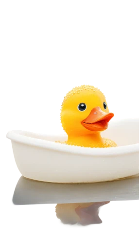 bath duck,rubber duck,rubber duckie,rubber ducky,bath ducks,cayuga duck,rubber ducks,bird in bath,duck on the water,duck,ducky,bathtub accessory,canard,red duck,fry ducks,female duck,tub,bath toy,the duck,soap dish,Conceptual Art,Daily,Daily 28