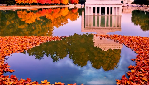 reflecting pool,fall landscape,reflection in water,autumn background,jefferson monument,tidal basin,district of columbia,colors of autumn,autumn scenery,reflections in water,fall foliage,thomas jefferson memorial,tomb of the unknown soldier,water reflection,autumn landscape,autumn in the park,washington dc,autumn park,autumn color,colored leaves,Conceptual Art,Graffiti Art,Graffiti Art 12