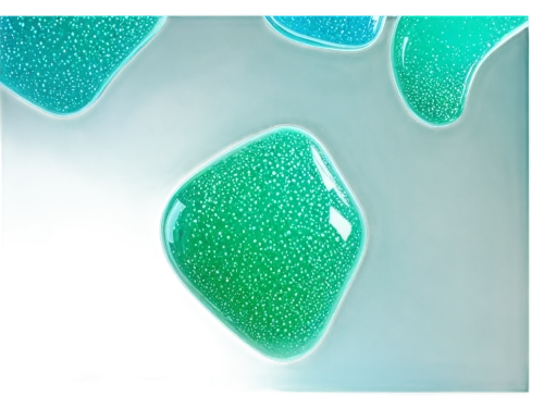 macrocystis,softgel capsules,gel capsules,isolated product image,biosamples icon,chloroplasts,cell structure,macrocystis pyrifera,spores,t-helper cell,bacterium,cells,globules,green bubbles,algae,eggs,cellular,koli bacteria,bacteria,gel capsule,Photography,Documentary Photography,Documentary Photography 23