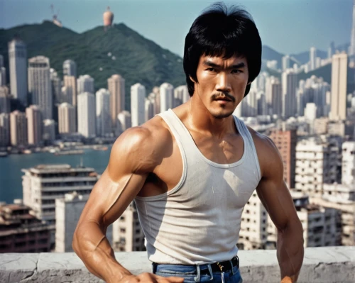 bruce lee,jeet kune do,jackie chan,savate,korean won,wing chun,muscle icon,diet icon,kung,siam fighter,kungfu,kung fu,muscle man,asian semi-longhair,kai yang,macho,elvis impersonator,han bok,choi kwang-do,elvis,Illustration,Realistic Fantasy,Realistic Fantasy 43