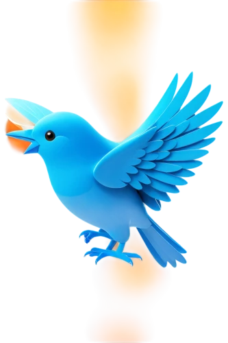 twitter logo,twitter bird,dove of peace,blue bird,bird png,peace dove,tweet,twitter,bird flying,migratory bird,bird in flight,tweeting,paypal icon,blue parrot,tweets,bird illustration,social media icon,fast bird,flying bird,bird fly,Photography,Documentary Photography,Documentary Photography 18