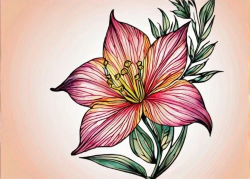 peruvian lily,flower illustration,flowers png,hawaiian hibiscus,hibiscus flower,watercolor flower,hibiscus,flower drawing,stargazer lily,flower illustrative,flower painting,hibiscus flowers,pink hibiscus,floral greeting card,watercolor floral background,illustration of the flowers,rose flower illustration,hibiscus and leaves,watercolour flower,chinese hibiscus,Illustration,Black and White,Black and White 01