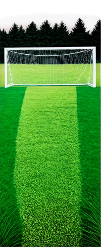 artificial turf,artificial grass,football pitch,soccer field,playing field,football field,penalty card,halm of grass,block of grass,forest ground,soccer-specific stadium,green lawn,turf roof,green grass,boundary line,athletic field,grass blades,goalkeeper,soccer,quail grass,Photography,Fashion Photography,Fashion Photography 20