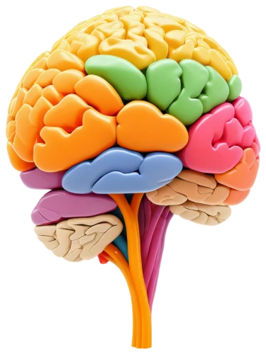 cerebrum,brain icon,brain structure,human brain,brain,cognitive psychology,neurology,brainy,mindmap,neurath,brain storming,brainstorm,isolated product image,acetylcholine,magnetic resonance imaging,emotional intelligence,neural network,neural pathways,dopamine,the structure of the,Unique,3D,Modern Sculpture