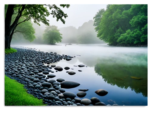 river landscape,landscape background,foggy landscape,background view nature,background vector,natural landscape,tranquility,nature landscape,landscape photography,a river,aare,aaa,green trees with water,river cooter,landscape nature,river wharfe,riverbank,raven river,river of life project,green landscape,Photography,Documentary Photography,Documentary Photography 33