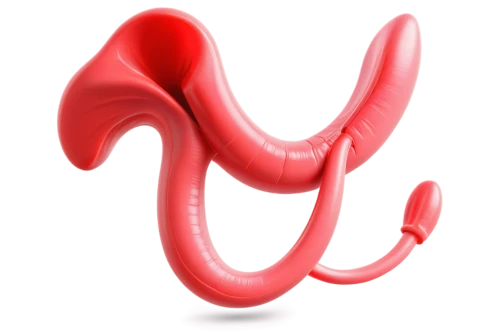 aorta,tiktok icon,suction cups,reflex foot sigmoid,auricle,volute,bow-knot,curved ribbon,trumpet shaped,uterine,handles,sinuous,strozzapreti,shofar,figure 8,rmuscles,inflatable ring,funnel-shaped,blowing horn,semicircular,Unique,Design,Infographics