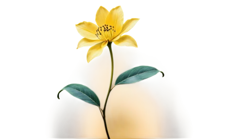 flowers png,flower illustrative,the trumpet daffodil,ikebana,yellow canada lily,flower illustration,yellow flower,yellow bell flower,yellow avalanche lily,yellow bell,gold flower,bookmark with flowers,decorative flower,avalanche lily,flower background,lilium candidum,lily flower,artificial flower,yellow rose background,daffodil,Conceptual Art,Fantasy,Fantasy 22