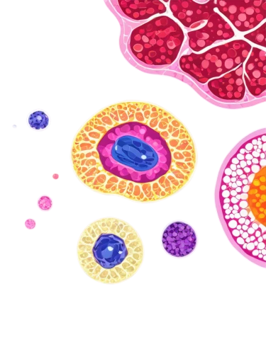 blood cells,cells,red blood cells,spores,fruit pattern,cancer illustration,cell structure,erythrocyte,blobs,petri dish,pixel cells,blood cell,globules,trypophobia,cytoplasm,bacteria,jelly fruit,donut drawing,pathogens,spots,Conceptual Art,Fantasy,Fantasy 09