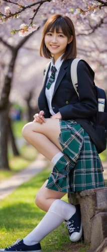 japanese idol,anime japanese clothing,azusa nakano k-on,schoolgirl,school skirt,japanese sakura background,school uniform,girl sitting,anime 3d,anime girl,japanese kawaii,bulli,sit,school clothes,maimi fl,ako,sakura background,sitting on a chair,mikuru asahina,cosplay image,Photography,Documentary Photography,Documentary Photography 14