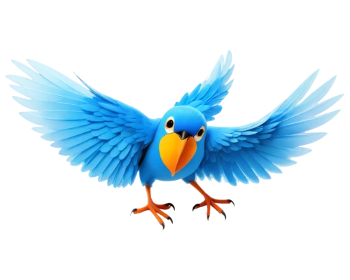 twitter logo,twitter bird,bird png,bird flying,tweet,twitter,dove of peace,alcedo atthis,blue bird,blue parrot,peace dove,tweeting,tweets,laughing bird,bird,flapping,flying bird,i love birds,bird in flight,bird fly,Art,Artistic Painting,Artistic Painting 25